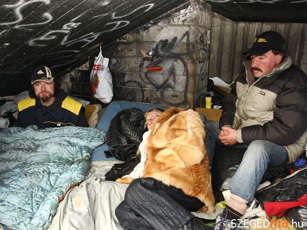 Hajléktalan kunyhó